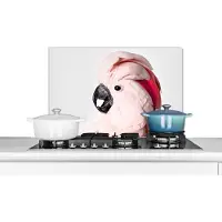 KitchenYeah Spatscherm keuken 70x50 cm - Kookplaat achterwand Kaketoe - Roze - Dieren - Natuur - Muurbeschermer - Spatwand fornuis - Hoogwaardig aluminium