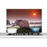 KitchenYeah Spatscherm keuken 100x65 cm - Kookplaat achterwand Olifant - Gras - Zon - Dieren - Muurbeschermer - Spatwand fornuis - Hoogwaardig aluminium