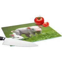 KitchenYeah Glazen Snijplank - 28x20 - Biggetje - Konijn - Dieren - Snijplanken Glas