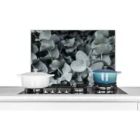 KitchenYeah Spatscherm keuken 60x40 cm - Kookplaat achterwand Natuur - Planten - Eucalyptus - Bladeren - Muurbeschermer - Spatwand fornuis - Hoogwaardig aluminium