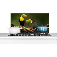 KitchenYeah Spatscherm keuken 80x40 cm - Kookplaat achterwand Vogels - Toekan - Tak - Dieren - Regenboog - Muurbeschermer - Spatwand fornuis - Hoogwaardig aluminium