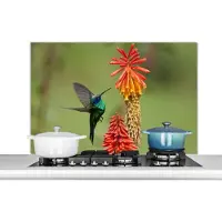 KitchenYeah Spatscherm keuken 100x65 cm - Kookplaat achterwand Vogel - Kolibrie - Bloemen - Muurbeschermer - Spatwand fornuis - Hoogwaardig aluminium