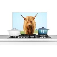 KitchenYeah Spatscherm keuken 70x50 cm - Kookplaat achterwand Schotse hooglander - Haar - Gras - Muurbeschermer - Spatwand fornuis - Hoogwaardig aluminium