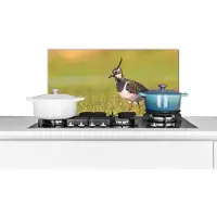 KitchenYeah Spatscherm keuken 70x30 cm - Kookplaat achterwand Vogel - Gras - Natuur - Dieren - Kievit - Muurbeschermer - Spatwand fornuis - Hoogwaardig aluminium