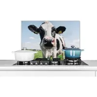 KitchenYeah Spatscherm keuken 60x40 cm - Kookplaat achterwand Koe - Weiland - Natuur - Dieren - Gras - Muurbeschermer - Spatwand fornuis - Hoogwaardig aluminium