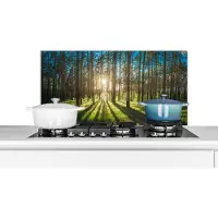 KitchenYeah Spatscherm keuken - Keuken achterwand - Zon - Gras - Natuur - Muurbeschermer - 90x45 cm - Keuken - Keuken decoratie - Spatwand kookplaat