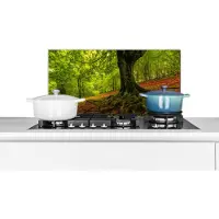 KitchenYeah Spatscherm keuken 60x30 cm - Kookplaat achterwand Boom - Bos - Herfstbladeren - Muurbeschermer - Spatwand fornuis - Hoogwaardig aluminium