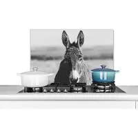 KitchenYeah Spatscherm keuken - Muurdecoratie - Ezel - Dieren - Boederij - Zwart - Wit - Keuken - Wanddecoratie - Spatbord - 60x40 cm