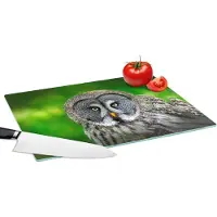 KitchenYeah Glazen Snijplank - 39x28 - Vogel - Uil - Dieren - Bruin - Portret - Snijplanken Glas