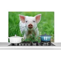 KitchenYeah Spatscherm keuken 100x65 cm - Kookplaat achterwand Varken - Dieren - Big - Muurbeschermer - Spatwand fornuis - Hoogwaardig aluminium