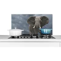 KitchenYeah Spatscherm keuken 90x45 cm - Kookplaat achterwand Olifant - Wolken - Dieren - Natuur - Muurbeschermer - Spatwand fornuis - Hoogwaardig aluminium