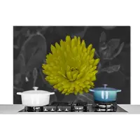 KitchenYeah Spatscherm keuken 120x80 cm - Kookplaat achterwand Bloemen - Waterverf - Paardenbloem - Muurbeschermer - Spatwand fornuis - Hoogwaardig aluminium