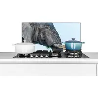 KitchenYeah Spatscherm keuken 60x30 cm - Kookplaat achterwand Olifant - Dieren - Grijs - Natuur - Muurbeschermer - Spatwand fornuis - Hoogwaardig aluminium