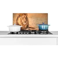 KitchenYeah Spatscherm keuken 60x30 cm - Kookplaat achterwand Leeuw - Close up - Savanne - Muurbeschermer - Spatwand fornuis - Hoogwaardig aluminium