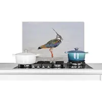 KitchenYeah Spatscherm keuken 70x50 cm - Kookplaat achterwand Vogel - Dieren - Zand - Kievit - Muurbeschermer - Spatwand fornuis - Hoogwaardig aluminium