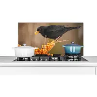 KitchenYeah Spatscherm keuken 90x45 cm - Kookplaat achterwand Vogel - Merel - Winter - IJs - Bes - Muurbeschermer - Spatwand fornuis - Hoogwaardig aluminium