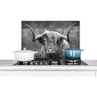KitchenYeah Spatscherm keuken 70x50 cm - Kookplaat achterwand Schotse Hooglander - Koeienkop - Landschap - Natuur - Koe - Muurbeschermer - Spatwand fornuis - Hoogwaardig aluminium