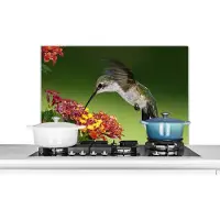KitchenYeah Spatscherm keuken 90x60 cm - Kookplaat achterwand Kolibrie - Bloem - Vogel - Muurbeschermer - Spatwand fornuis - Hoogwaardig aluminium
