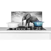 KitchenYeah Spatscherm keuken 70x30 cm - Kookplaat achterwand Olifant - Gras - Dieren - Zwart wit - Muurbeschermer - Spatwand fornuis - Hoogwaardig aluminium