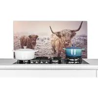 KitchenYeah Spatscherm keuken 100x50 cm - Kookplaat achterwand Schotse Hooglanders - Sneeuw - Zon - Muurbeschermer - Spatwand fornuis - Hoogwaardig aluminium