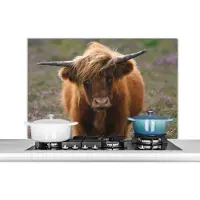 KitchenYeah Spatscherm keuken 100x65 cm - Kookplaat achterwand Schotse Hooglander - Heide - Dieren - Muurbeschermer - Spatwand fornuis - Hoogwaardig aluminium