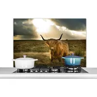 KitchenYeah Spatscherm keuken 100x65 cm - Kookplaat achterwand Schotse hooglander - Zon - Gras - Muurbeschermer - Spatwand fornuis - Hoogwaardig aluminium