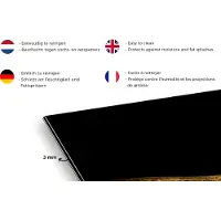 KitchenYeah Spatscherm keuken 120x80 cm - Kookplaat achterwand Dier - Tak - Zwart - Muurbeschermer - Spatwand fornuis - Hoogwaardig aluminium
