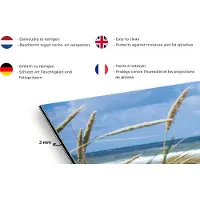 KitchenYeah Spatscherm keuken 120x80 cm - Kookplaat achterwand Strand - Vogel - Planten - Muurbeschermer - Spatwand fornuis - Hoogwaardig aluminium