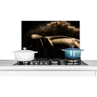 KitchenYeah Spatscherm keuken 70x50 cm - Kookplaat achterwand Olifant - Modder - Dieren - Zwart - Muurbeschermer - Spatwand fornuis - Hoogwaardig aluminium