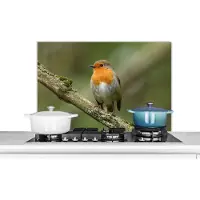 KitchenYeah Spatscherm keuken 90x60 cm - Kookplaat achterwand Vogel - Roodborstje - Tak - Planten - Muurbeschermer - Spatwand fornuis - Hoogwaardig aluminium
