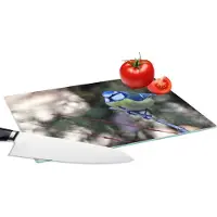 KitchenYeah Glazen Snijplank - 28x20 - Gekleurde koolmees tijdens een zonnige dag - Snijplanken Glas