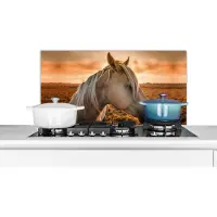 KitchenYeah Spatscherm keuken 90x45 cm - Kookplaat achterwand Paard - Zon - Zand - Muurbeschermer - Spatwand fornuis - Hoogwaardig aluminium