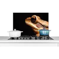 KitchenYeah Spatscherm keuken 60x40 cm - Kookplaat achterwand Kikker - Oog - Zwart - Muurbeschermer - Spatwand fornuis - Hoogwaardig aluminium