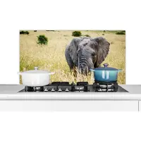 KitchenYeah Spatscherm keuken 100x50 cm - Kookplaat achterwand Olifant - Dieren - Landschap - Zon - Natuur - Muurbeschermer - Spatwand fornuis - Hoogwaardig aluminium