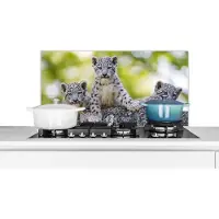 KitchenYeah Spatscherm keuken 80x40 cm - Kookplaat achterwand Luipaard - Welpen - Stenen - Muurbeschermer - Spatwand fornuis - Hoogwaardig aluminium