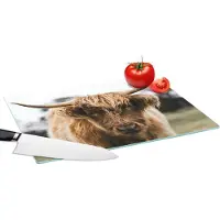 KitchenYeah Glazen Snijplank - 39x28 - Schotse Hooglander - Koe - Gras - Dieren - Natuur - Snijplanken Glas