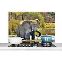 KitchenYeah Spatscherm keuken 100x65 cm - Kookplaat achterwand Olifant - Water - Dieren - Natuur - Muurbeschermer - Spatwand fornuis - Hoogwaardig aluminium
