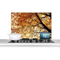 KitchenYeah Spatscherm keuken 90x60 cm - Kookplaat achterwand Boom - Herfstbladeren - Seizoenen - Landelijk - Muurbeschermer - Spatwand fornuis - Hoogwaardig aluminium