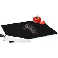 KitchenYeah Glazen Snijplank - 39x28 - Een zwarte Labrador Retriever op een zwarte achtergrond - Snijplanken Glas