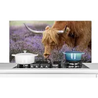 KitchenYeah Spatscherm keuken 120x60 cm - Kookplaat achterwand Schotse Hooglander - Dieren - Heide - Muurbeschermer - Spatwand fornuis - Hoogwaardig aluminium