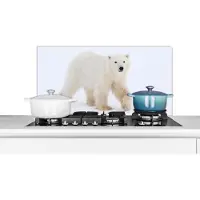 KitchenYeah Spatscherm keuken 80x40 cm - Kookplaat achterwand IJsbeer - Sneeuw - Wit - Muurbeschermer - Spatwand fornuis - Hoogwaardig aluminium