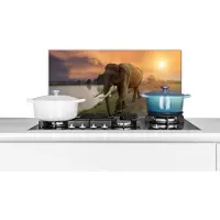 KitchenYeah Spatscherm keuken 70x30 cm - Kookplaat achterwand Olifant - Water - Dieren - Zonsondergang - Natuur - Muurbeschermer - Spatwand fornuis - Hoogwaardig aluminium