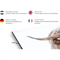 KitchenYeah Spatscherm keuken 100x65 cm - Kookplaat achterwand Schotse Hooglander - Horens - Sneeuw - Muurbeschermer - Spatwand fornuis - Hoogwaardig aluminium