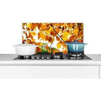 KitchenYeah Spatscherm keuken 60x30 cm - Kookplaat achterwand Herfstbladeren - Boom - Landelijk - Muurbeschermer - Spatwand fornuis - Hoogwaardig aluminium