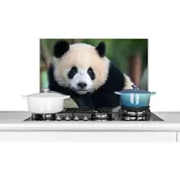 KitchenYeah - Spatscherm - Keuken - Panda - Dier - Steen - Natuur - Achterwand keuken - Keuken decoratie - Spatwand - 60x40 cm - Muurbeschermer