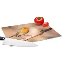 KitchenYeah Glazen Snijplank - 28x20 - Vogel - Tak - Roodborstje - Snijplanken Glas