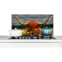 KitchenYeah Spatscherm keuken 80x40 cm - Kookplaat achterwand Schotse Hooglander - Dieren - Bloemen - Muurbeschermer - Spatwand fornuis - Hoogwaardig aluminium