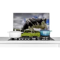 KitchenYeah Spatscherm keuken 60x40 cm - Kookplaat achterwand Koe - Gras - Staart - Dieren - Muurbeschermer - Spatwand fornuis - Hoogwaardig aluminium