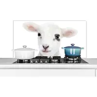 KitchenYeah Spatscherm keuken 100x50 cm - Kookplaat achterwand Lam - Wit - Dieren - Natuur - Muurbeschermer - Spatwand fornuis - Hoogwaardig aluminium
