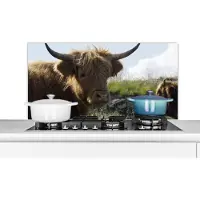 KitchenYeah Spatscherm keuken 100x50 cm - Kookplaat achterwand Schotse Hooglander Kop - Landschap - Koe - Muurbeschermer - Spatwand fornuis - Hoogwaardig aluminium